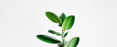 Helping fund managers prepare for the ODD and ESG of today - Waystone