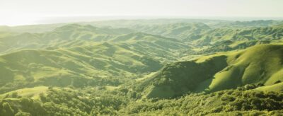 Our Impact - Waystone