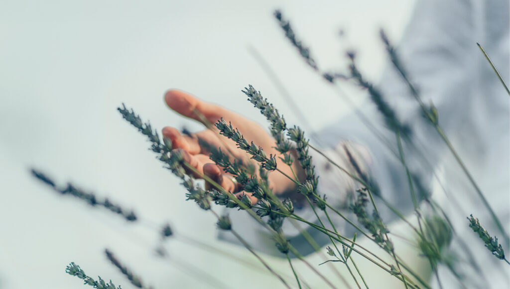 Our Impact on the Planet and our Communities / 1