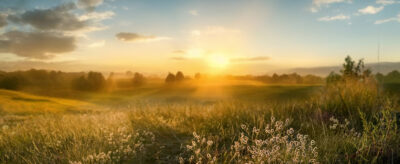 Europe’s ETF Horizon: <br>Our 6 Predictions for 2026 - Waystone